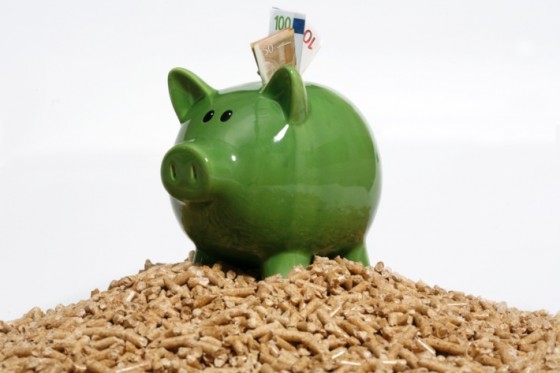 Dank neuer Förderprogramme wird das Umstellen auf Pellets-Heizung jetzt noch attraktiver. (Foto: Deutsches Pelletsinstitut)